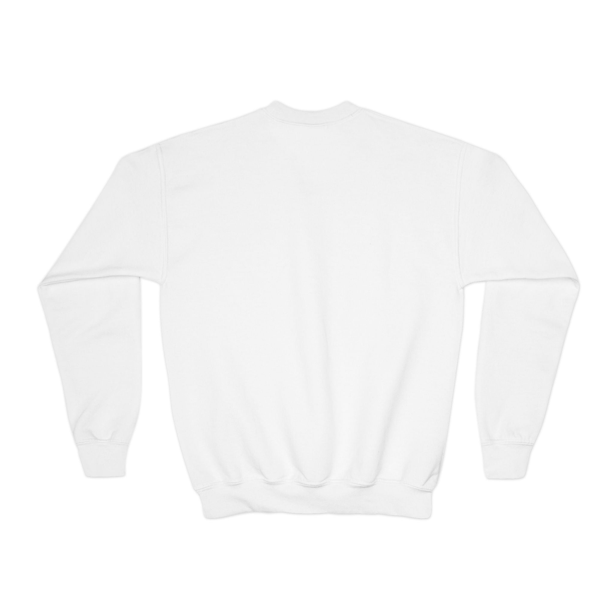 Hope Anchors the Soul Youth Crewneck Sweatshirt, Embroidered Christian Kids Pullover, Minimal Faith Sweater, Teen Gift