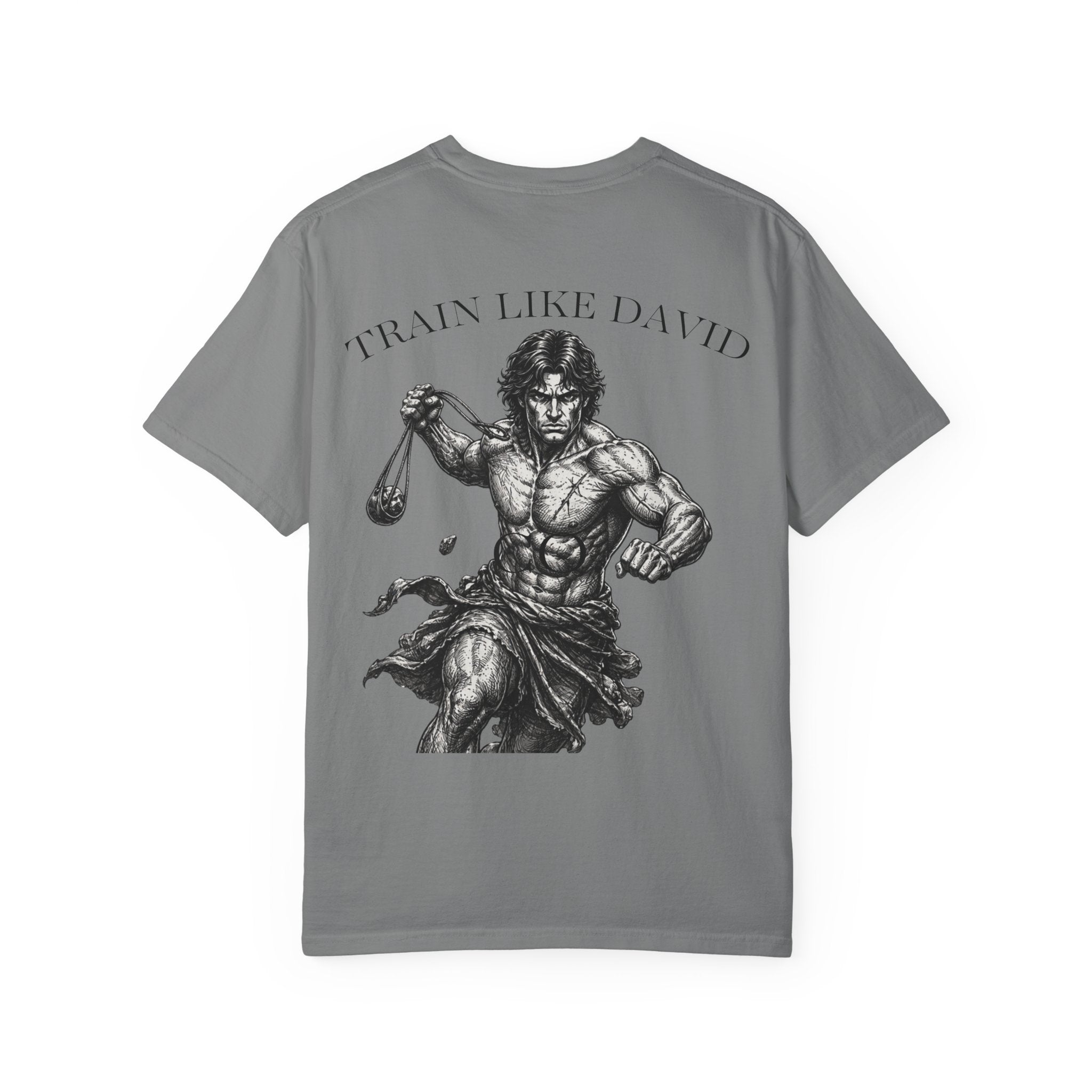 David Shirt, Christian Gym Shirt, 1 Samuel 17 45 Tee, Bible Verse Workout Shirt, Faith Based Pump Cover, David And Goliath Shirt