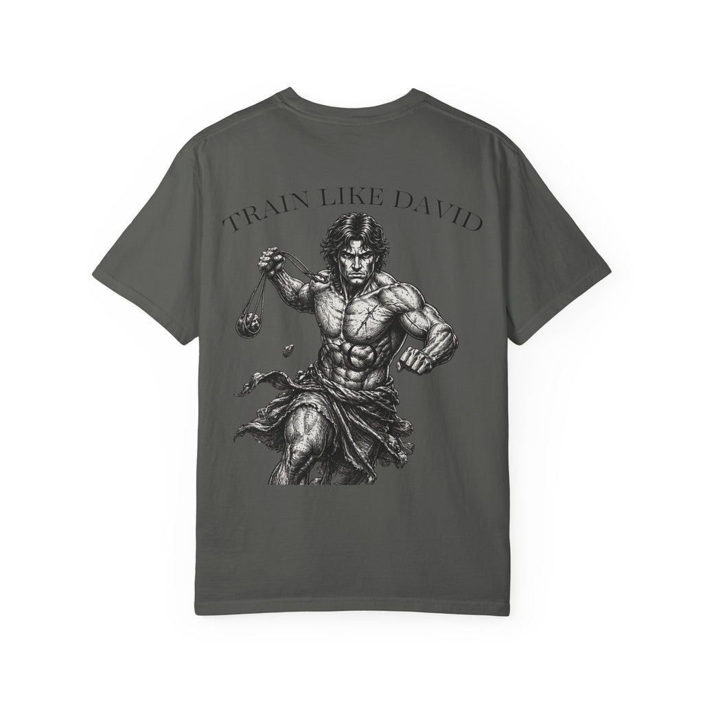 David Shirt, Christian Gym Shirt, 1 Samuel 17 45 Tee, Bible Verse Workout Shirt, Faith Based Pump Cover, David And Goliath Shirt