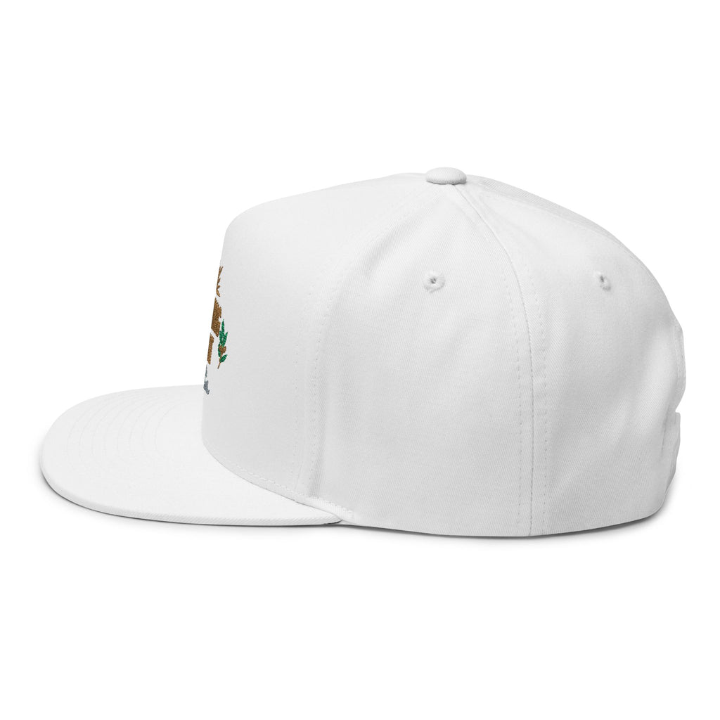 Morning Light embroidered flat bill cap | sun, laurel, wave design
