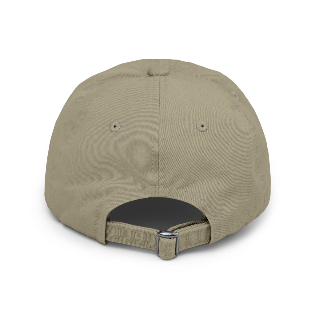 E=JC Cap | Distressed Baseball Hat, Science Equation Embroidered