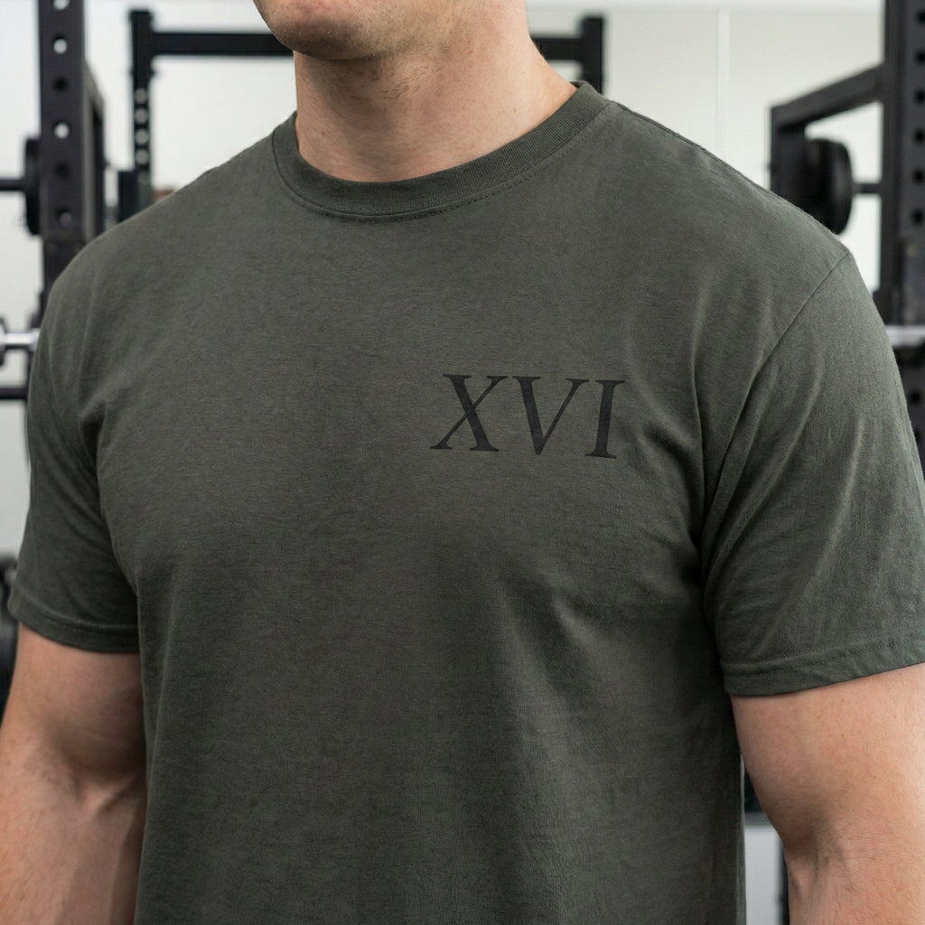 Samson Breaking Pillars Gym Tee